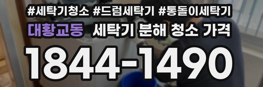 대황교동 세탁기 분해 청소 가격