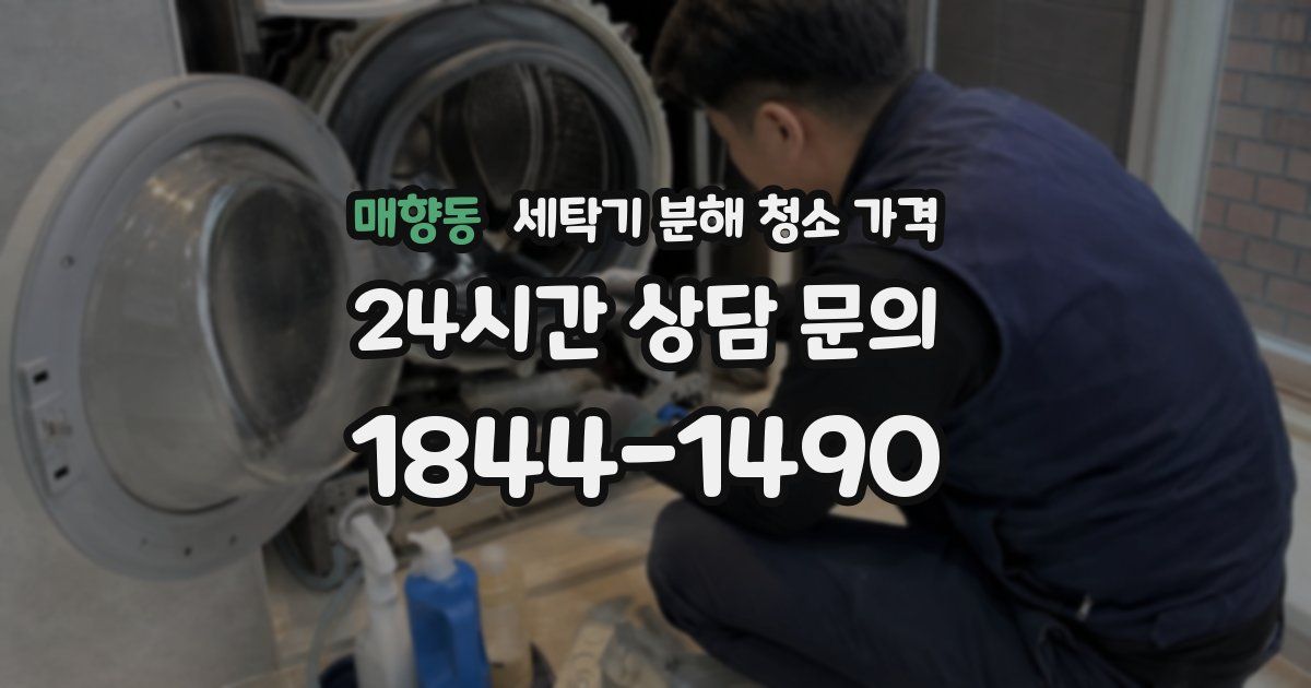 매향동 세탁기 분해 청소 가격