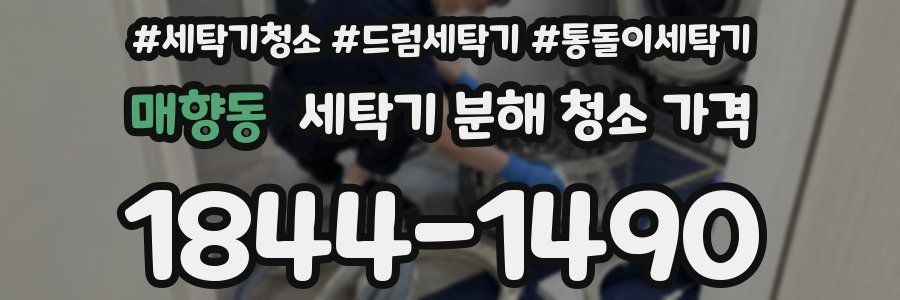 매향동 세탁기 분해 청소 가격