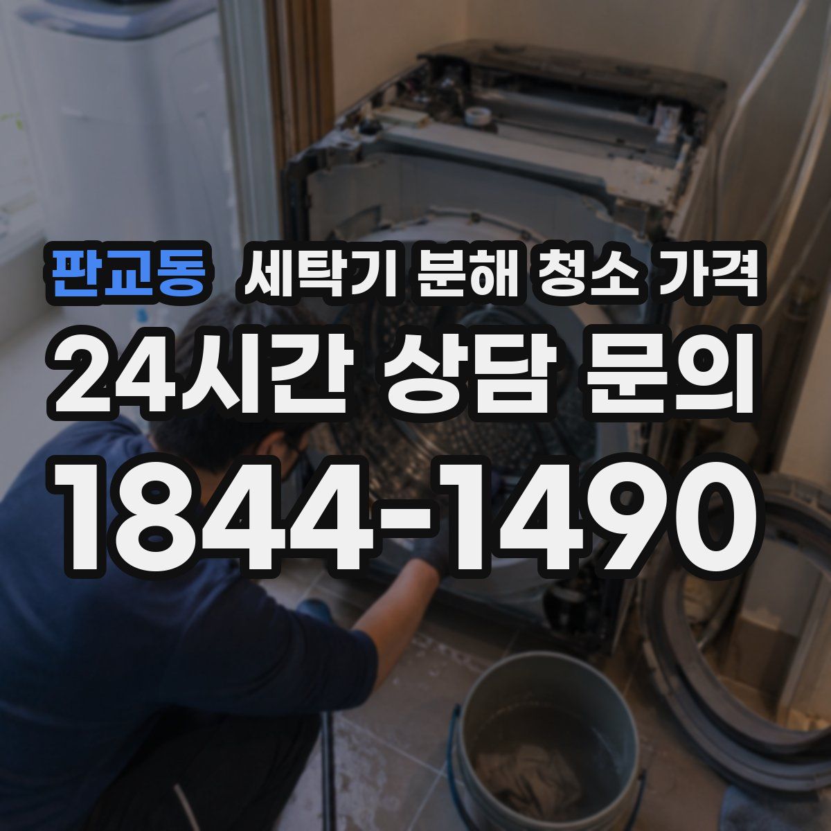 판교동 세탁기 분해 청소 가격