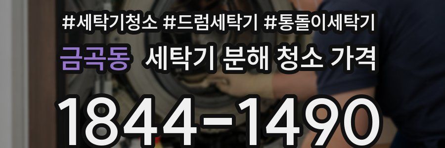 금곡동 세탁기 분해 청소 가격