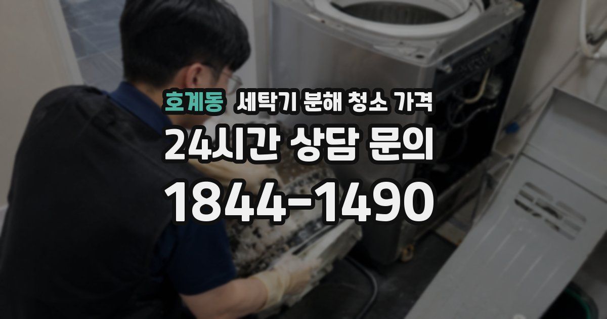 호계동 세탁기 분해 청소 가격