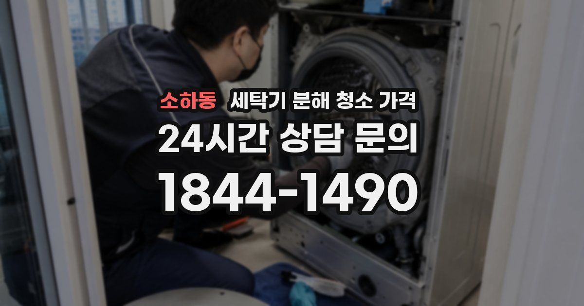 소하동 세탁기 분해 청소 가격