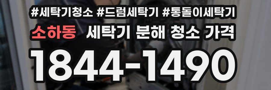 소하동 세탁기 분해 청소 가격