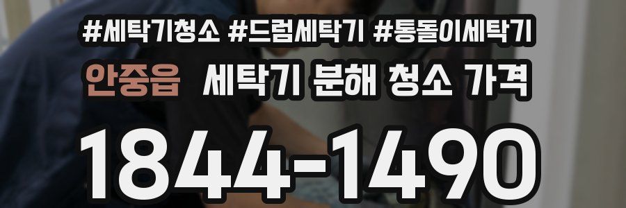 안중읍 세탁기 분해 청소 가격