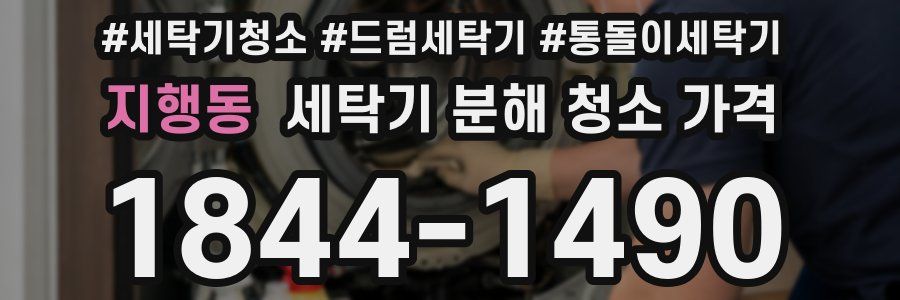 지행동 세탁기 분해 청소 가격