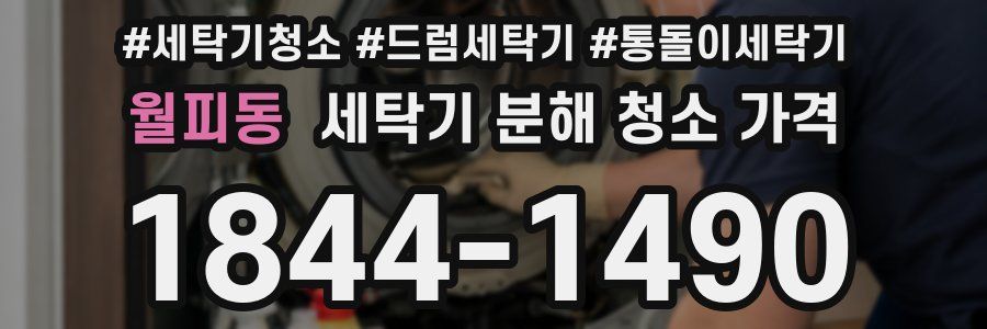 월피동 세탁기 분해 청소 가격