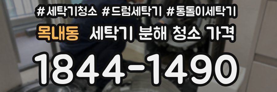 목내동 세탁기 분해 청소 가격