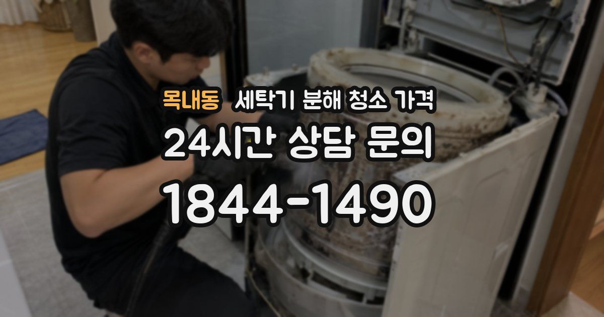 목내동 세탁기 분해 청소 가격