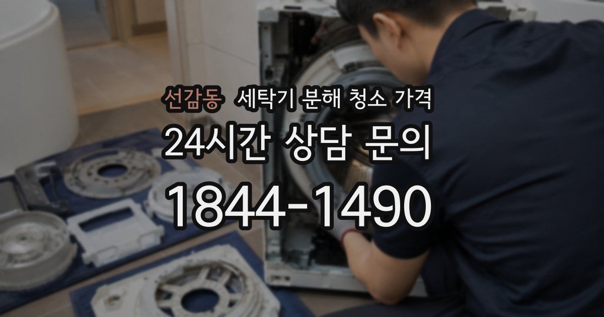 선감동 세탁기 분해 청소 가격