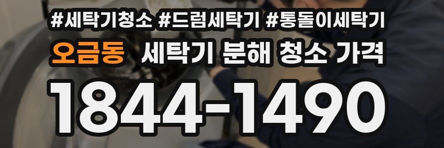 오금동 세탁기 분해 청소 가격