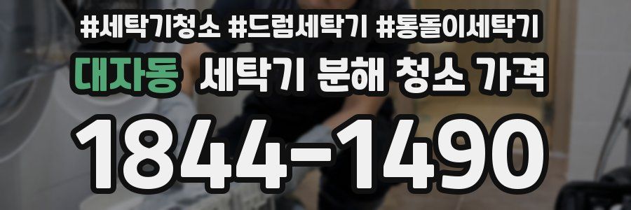 대자동 세탁기 분해 청소 가격