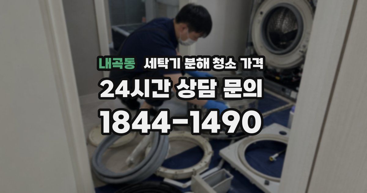내곡동 세탁기 분해 청소 가격