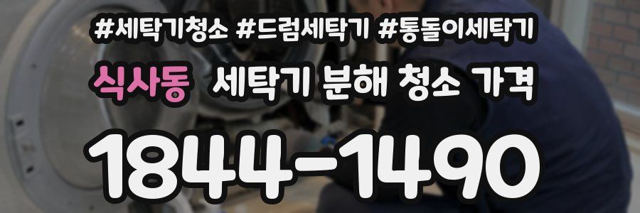 식사동 세탁기 분해 청소 가격