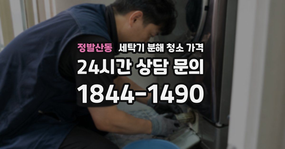 정발산동 세탁기 분해 청소 가격
