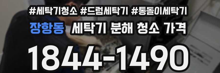 장항동 세탁기 분해 청소 가격