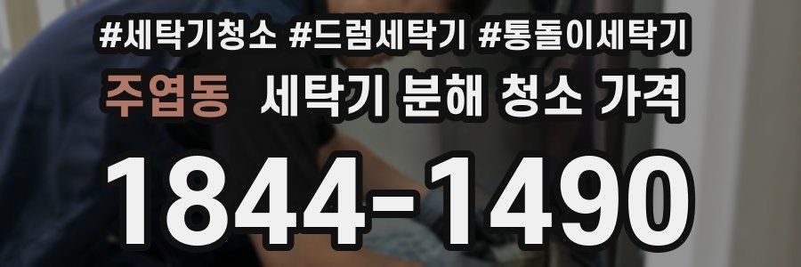 주엽동 세탁기 분해 청소 가격