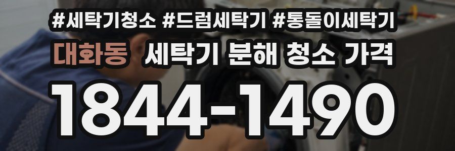 대화동 세탁기 분해 청소 가격
