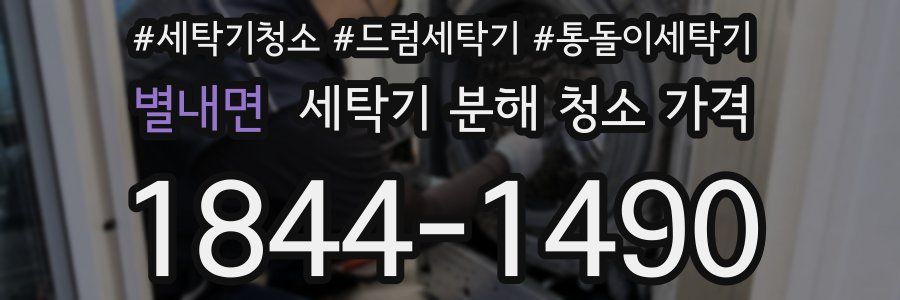 별내면 세탁기 분해 청소 가격