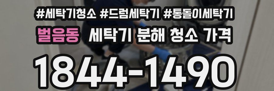 벌음동 세탁기 분해 청소 가격
