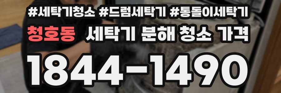 청호동 세탁기 분해 청소 가격