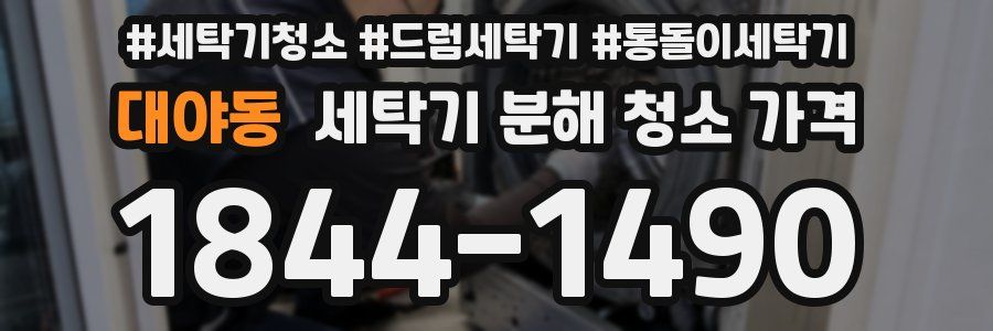 대야동 세탁기 분해 청소 가격