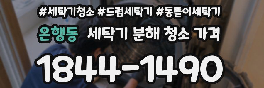 은행동 세탁기 분해 청소 가격