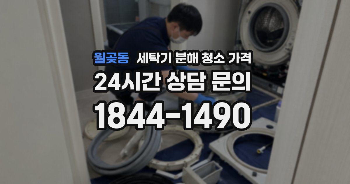 월곶동 세탁기 분해 청소 가격