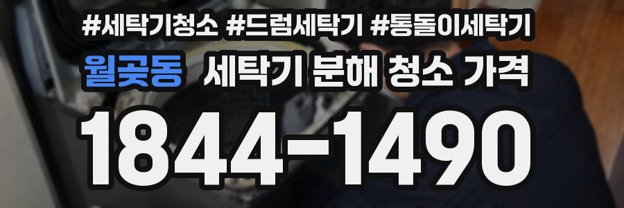 월곶동 세탁기 분해 청소 가격