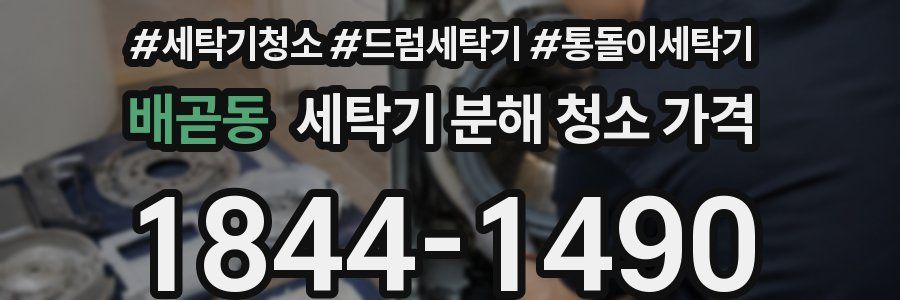 배곧동 세탁기 분해 청소 가격