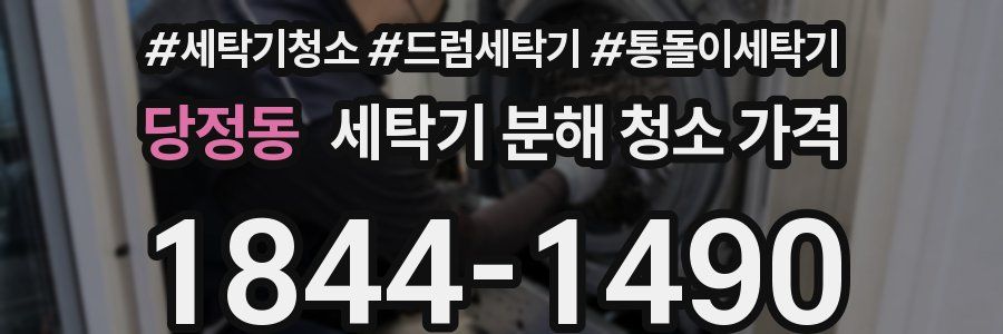 당정동 세탁기 분해 청소 가격
