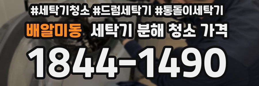 배알미동 세탁기 분해 청소 가격