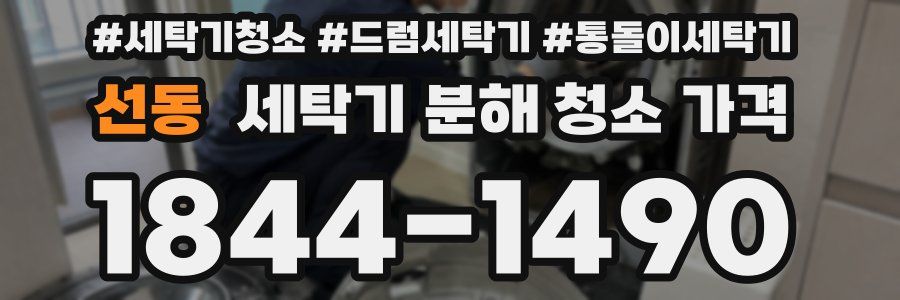 선동 세탁기 분해 청소 가격