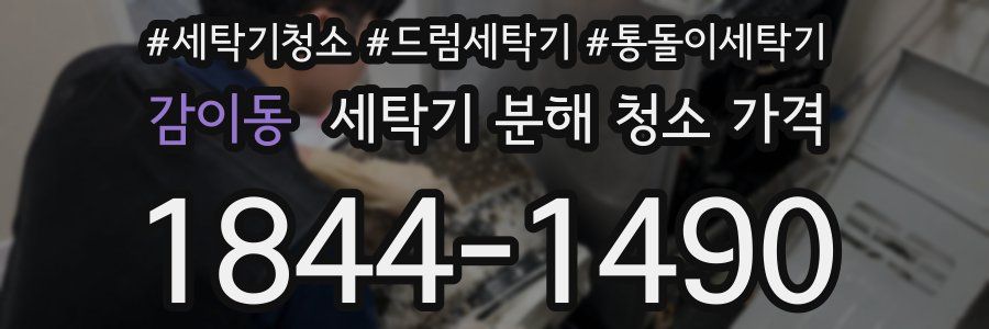 감이동 세탁기 분해 청소 가격