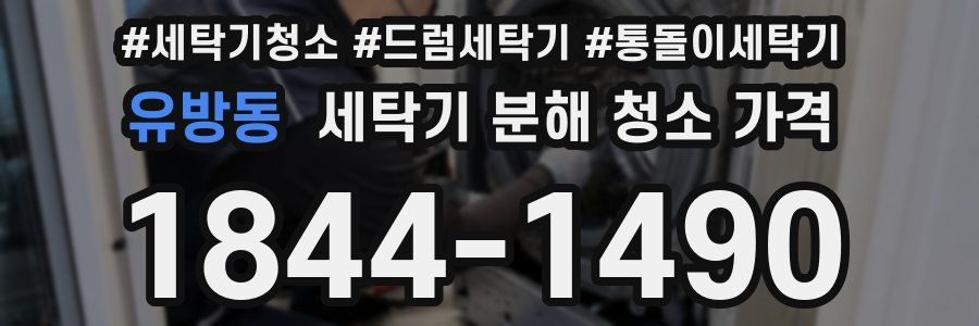 유방동 세탁기 분해 청소 가격