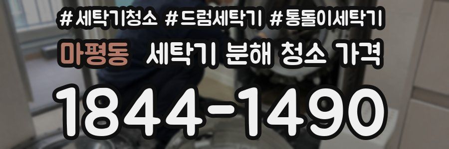 마평동 세탁기 분해 청소 가격