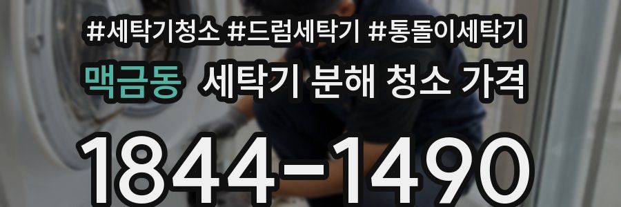 맥금동 세탁기 분해 청소 가격