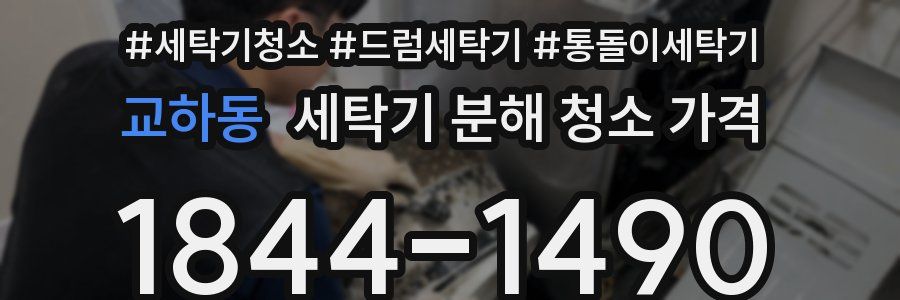 교하동 세탁기 분해 청소 가격