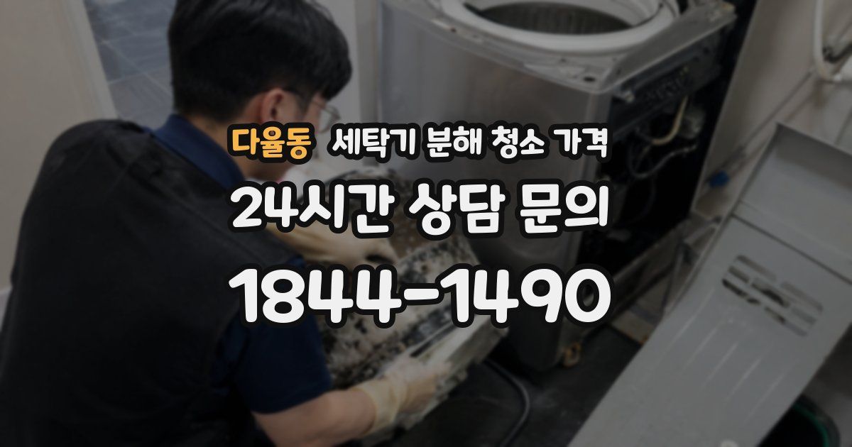 다율동 세탁기 분해 청소 가격