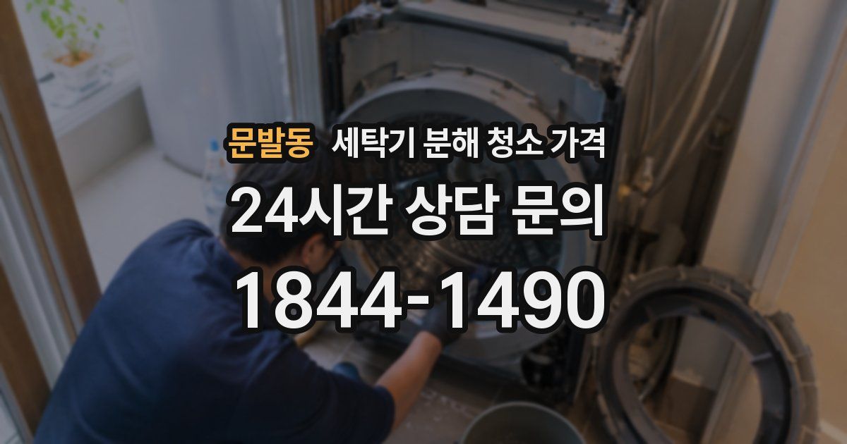 문발동 세탁기 분해 청소 가격
