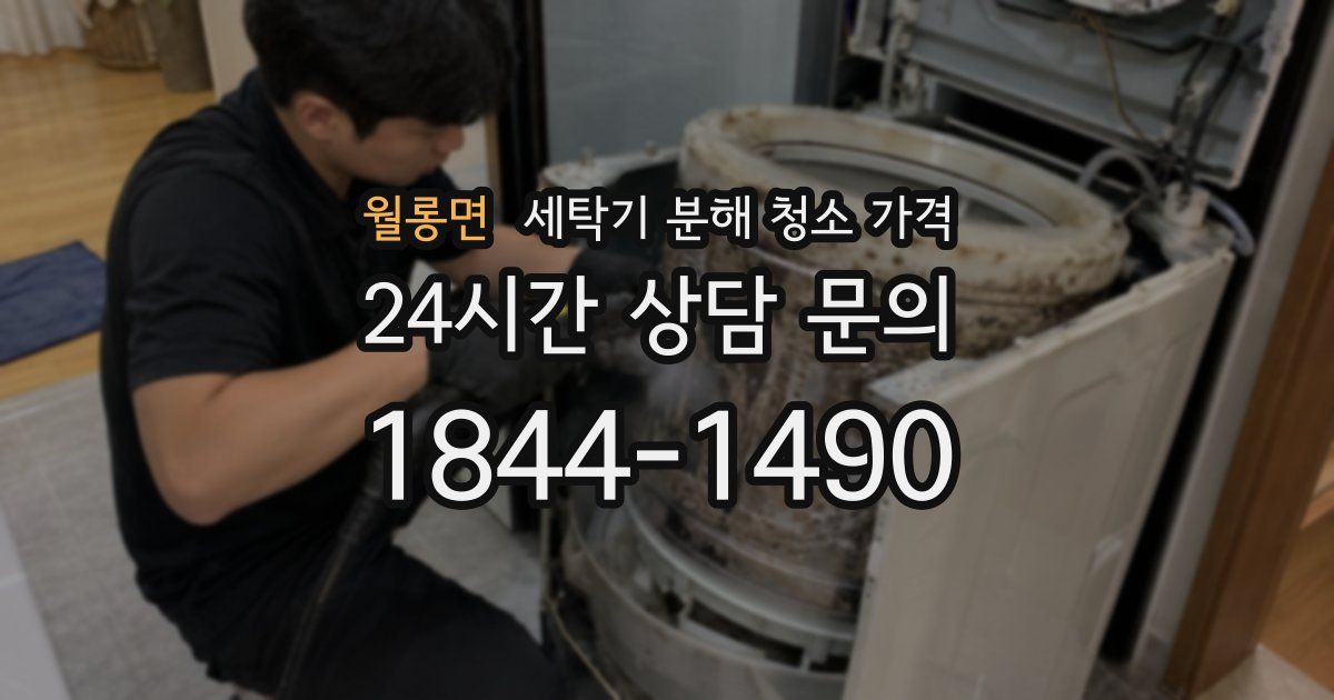 월롱면 세탁기 분해 청소 가격