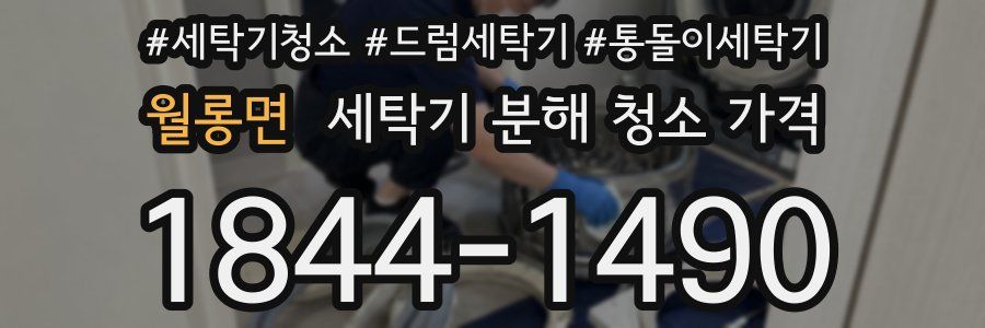 월롱면 세탁기 분해 청소 가격