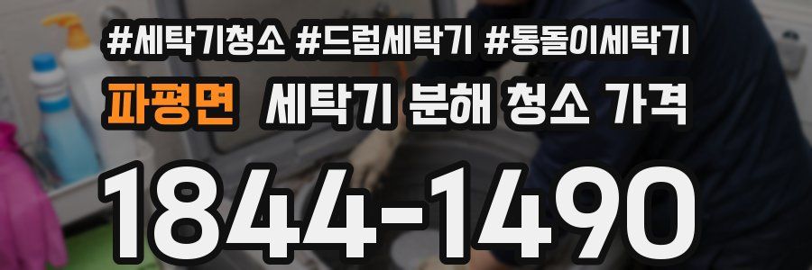 파평면 세탁기 분해 청소 가격