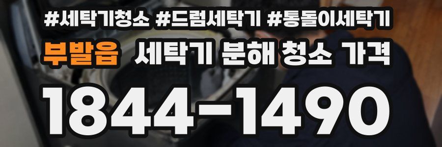 부발읍 세탁기 분해 청소 가격
