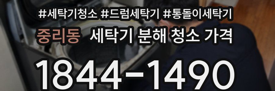 중리동 세탁기 분해 청소 가격