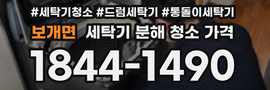 보개면 세탁기 분해 청소 가격