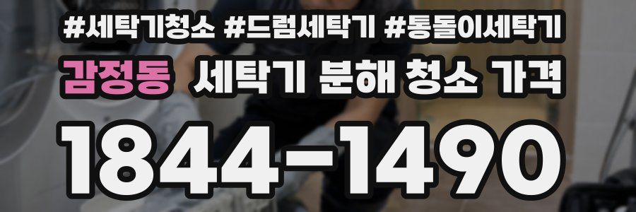 감정동 세탁기 분해 청소 가격