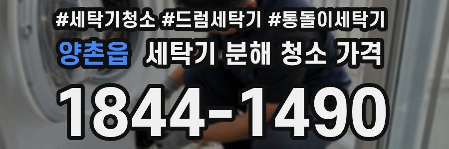 양촌읍 세탁기 분해 청소 가격