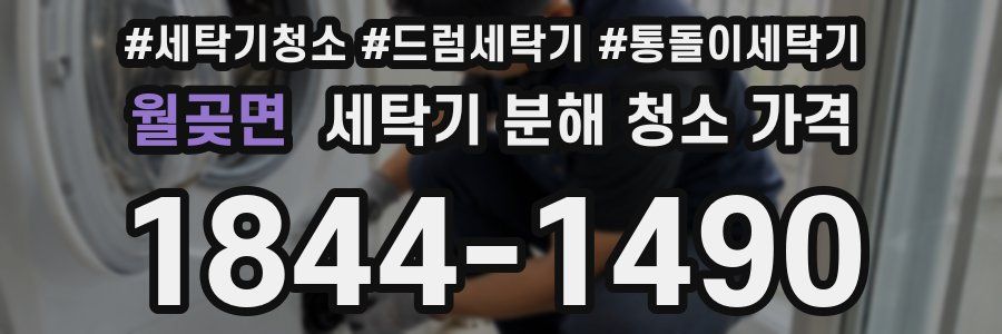 월곶면 세탁기 분해 청소 가격