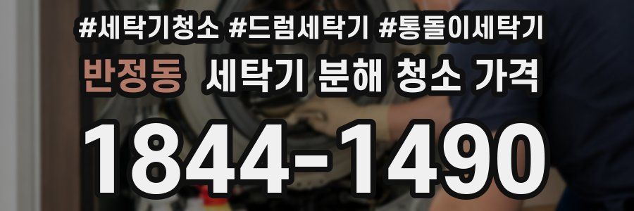 반정동 세탁기 분해 청소 가격